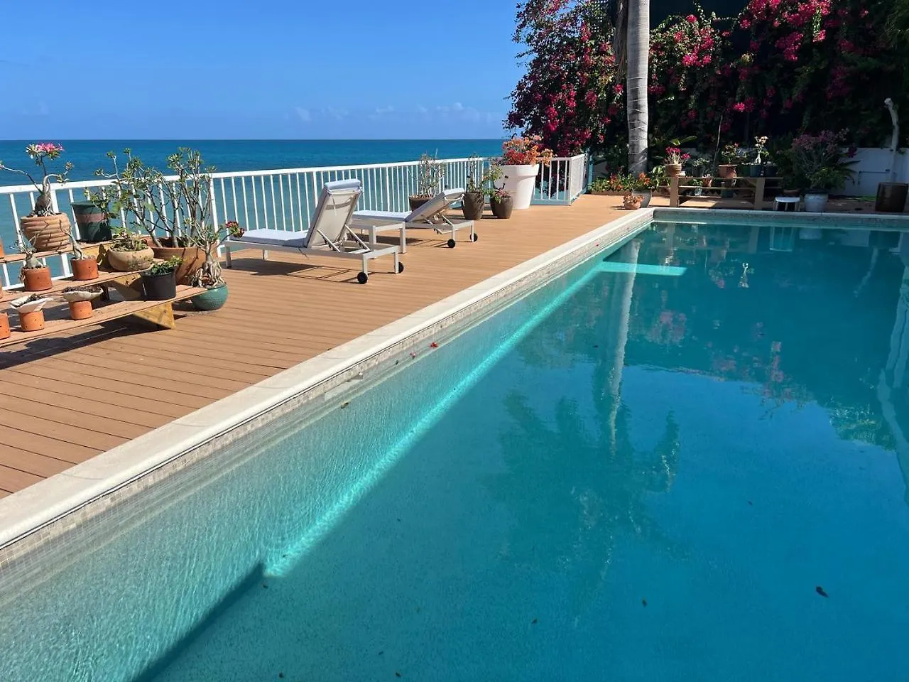 Ocean Garden Studio I Cedar Grove Villa